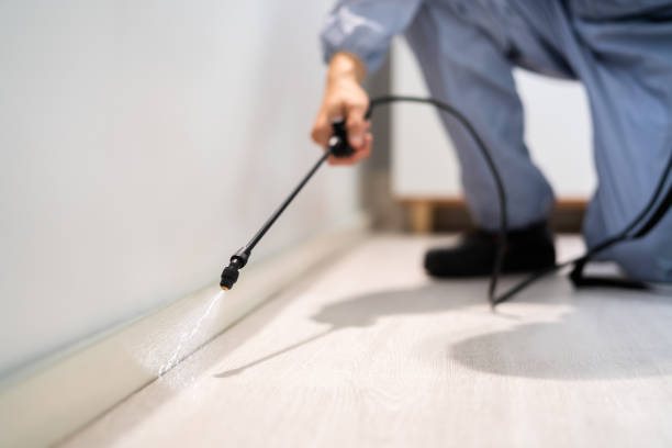 Licensed Termite Control service in Appling County County, GA - Nex Pest Control