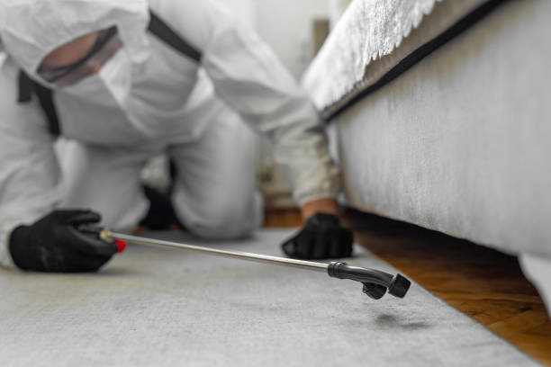 Professional Termite Control technician working in Appling County County, GA
